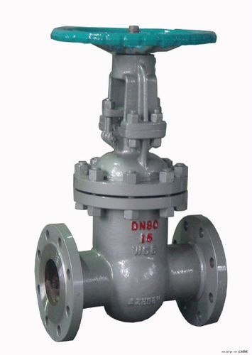 1 gate valve repair kit
