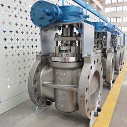 Monel Plug Valves